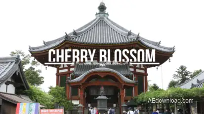 20 Cherry Blossom Overlays  | Premiere Pro Premiere Pro template preview