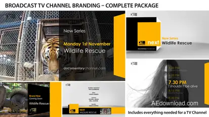 Broadcast Design - TV Channel Branding 1 Video Displays template preview