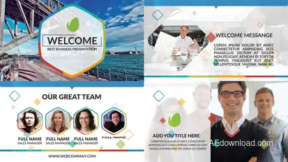 Business Presentation Video Displays template preview