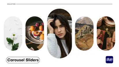 Carousel Sliders Video Displays template preview
