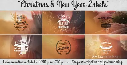 Christmas & New Year Labels Video Displays template preview