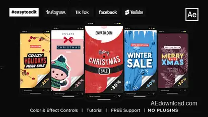 Christmas Instagram Stories / Sale Video Displays template preview