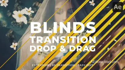 Clean Blinds Transition Elements template preview