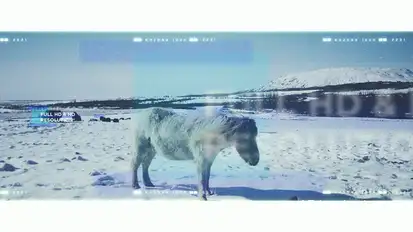 Clean Elegant Slideshow Video Displays template preview