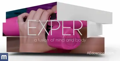 Clean Service Promo Video Displays template preview