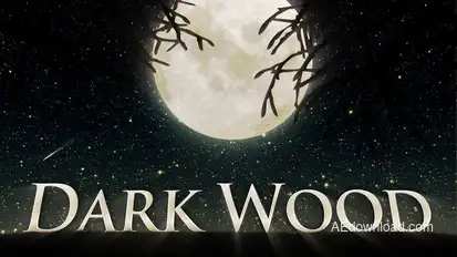 Dark Wood Video Displays template preview