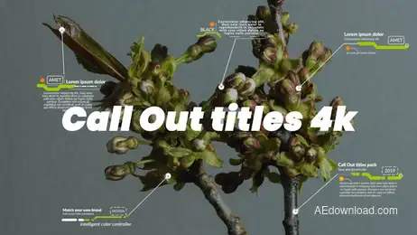 Call Out Titles 4k Freebies template preview