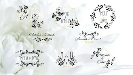 Elegant Flower Wedding Titles Freebies template preview
