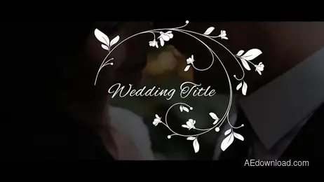 Elegant Wedding Titles Freebies template preview