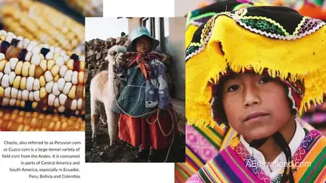 EnHoraBuena - Travel Slideshow Freebies template preview