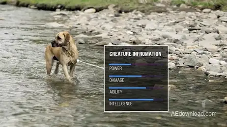 Infographic Call Outs Freebies template preview