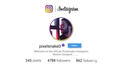 Instagram Promo Freebies template preview