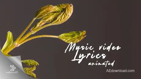 Lyrics Text Animated Freebies template preview