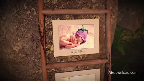 Photo Gallery In A Sunny Forest Freebies template preview