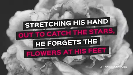 Social Media Titles Pack Freebies template preview