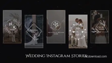 Wedding Instagram Stories V.2 Freebies template preview