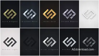 Elegant Logo Reveals Pack 2 Video Displays template preview