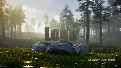 Elegant Natural Logo Video Displays template preview