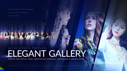 Elegant Photo Gallery Video Displays template preview