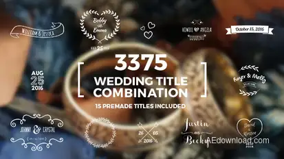 Elegant Wedding Title Combination Pack Video Displays template preview