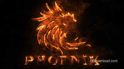 Flame Logo Video Displays template preview