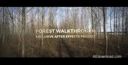 Forest Walkthrough Video Displays template preview