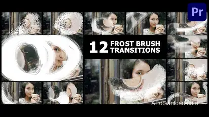 Frost Brush Painting Transitions | Premiere Pro MOGRT Premiere Pro template preview