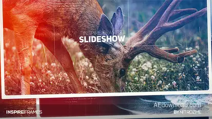 Inspire Frames Video Displays template preview