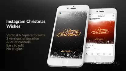 Instagram Christmas Wishes Video Displays template preview