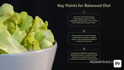 Key Points List Titles Premiere Pro template preview