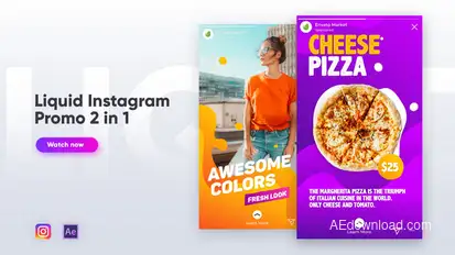 Liquid Instagram Promo 2 in 1 Video Displays template preview