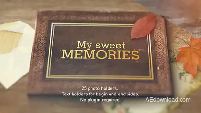 Old Memories Album Gallery Video Displays template preview