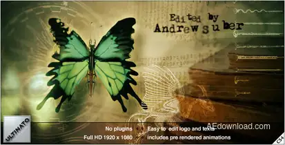 Paranormal Video Displays template preview