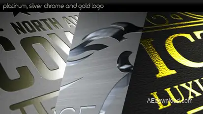 Platinum Silver Chrome and Gold Logo Video Displays template preview