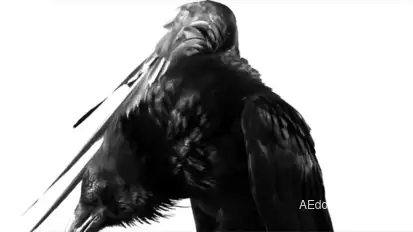 Raven Logo 2 Video Displays template preview