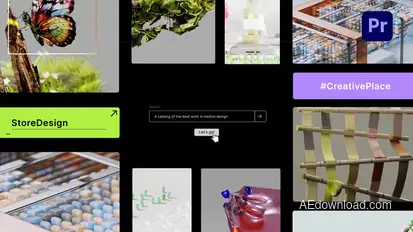 Search Bar Logo Reveal for Premiere Pro Premiere Pro template preview