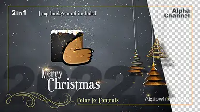 Stylish Christmas Celebration 2 In 1 Video Displays template preview