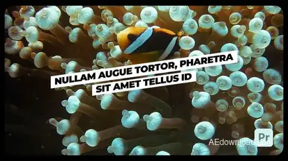 Typography 1.5 | Premiere Pro Premiere Pro template preview