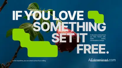 Typography for Premiere Pro Premiere Pro template preview