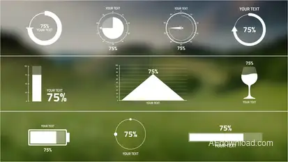 10 Percentage Infographics Infographics template preview
