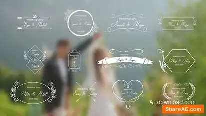 12 wedding titles Openers template preview