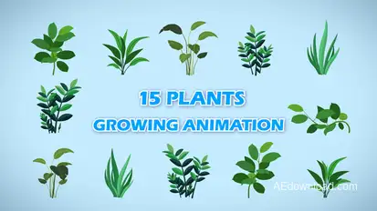 15 Growing Plants Animation Pack Elements template preview