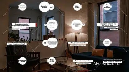 16 Call Outs for After Effects Infographics template preview