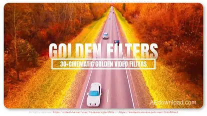 30+ Cinematic Golden Video Filters Elements template preview