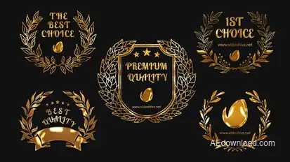 5 Golden Awards Openers template preview