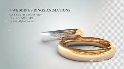 6 3D Wedding Rings Animations Openers template preview
