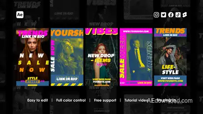 Abstract Instagram Stories Product Promo template preview