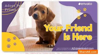 Adopt Pets Promo Openers template preview
