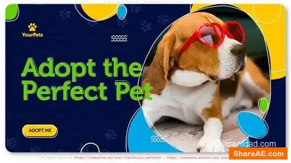 Adopt the Perfect Pet. Be a Hero! Openers template preview