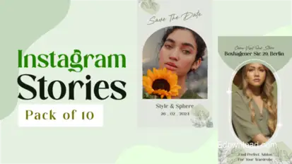 Aesthetic Instagram Stories Product Promo template preview